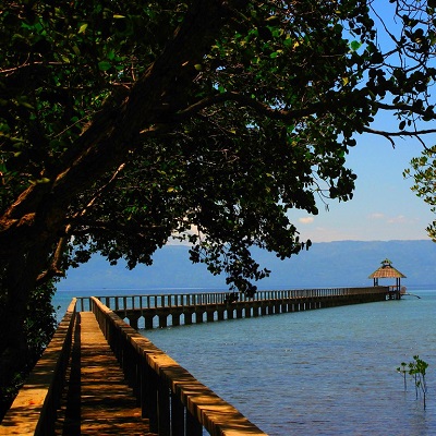 Talabong Bird Sanctuary and Mangrove Park